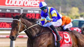 North Queensland return beckons for Quothquan