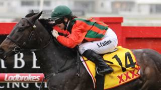 Kemp sees big city future for Callow