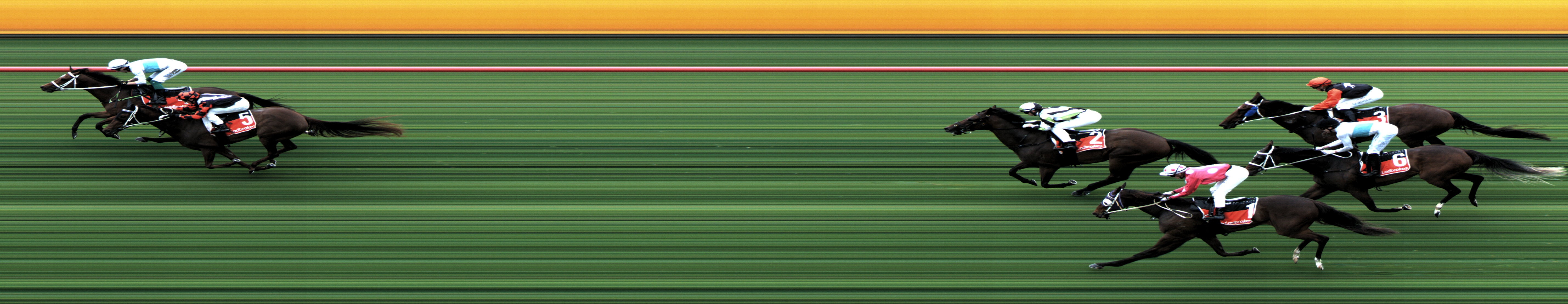 Spring Rcing Carnival Thoroughbred LADBROKES SPRING RACING CARNIVAL Maiden Plate 1830m Wed 21 ...
