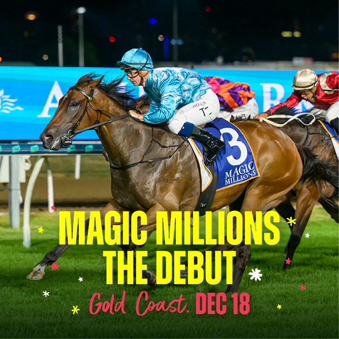 Magic Millions The Debut night racing at Gold Coast Turf Club