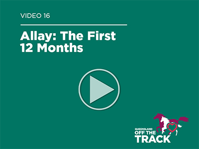Video thumbnail: Allay - the first 12 months