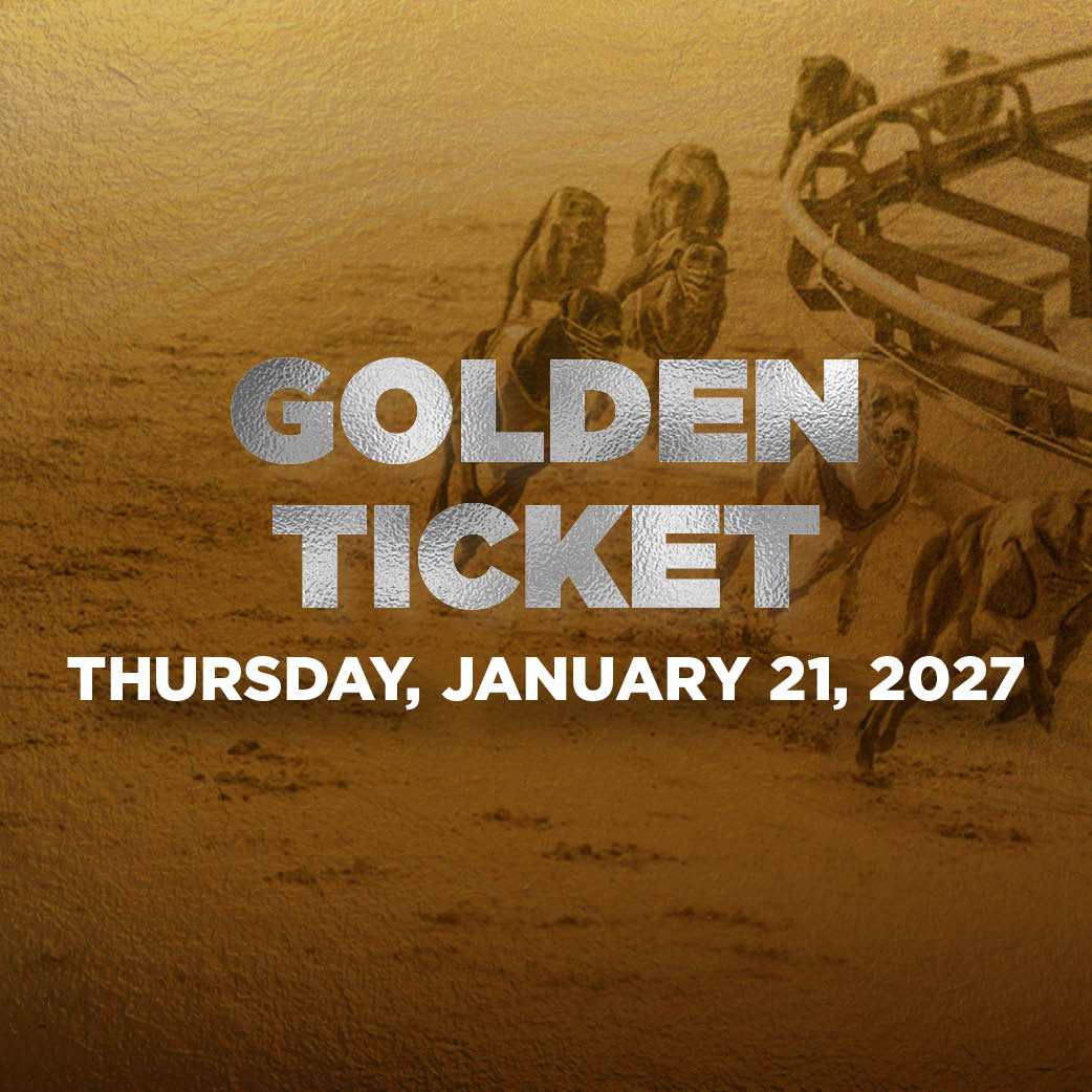 2026 Golden Greys Summer Carnival Event Tile - Golden Ticket