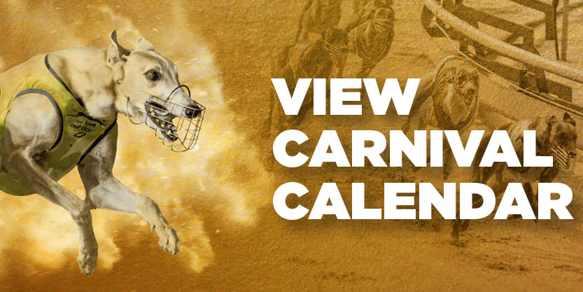 2026/27 Golden Greys Summer Carnival Schedule