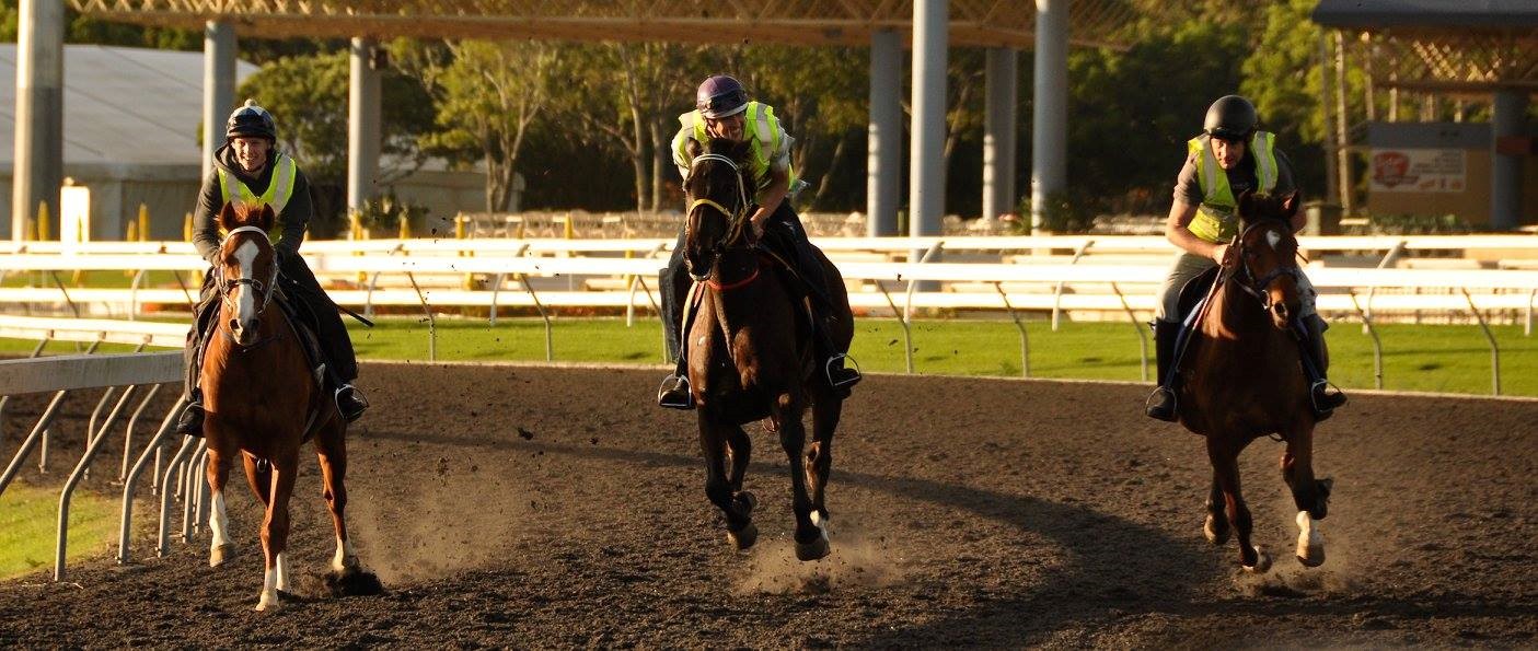 Education :: Racing Queensland