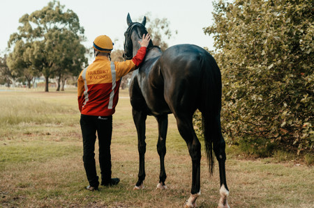 athor-hullbert-2.jpg athor-hullbert-2.jpg