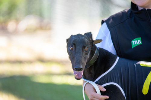 DSC-1198.jpg DSC-1198.jpg