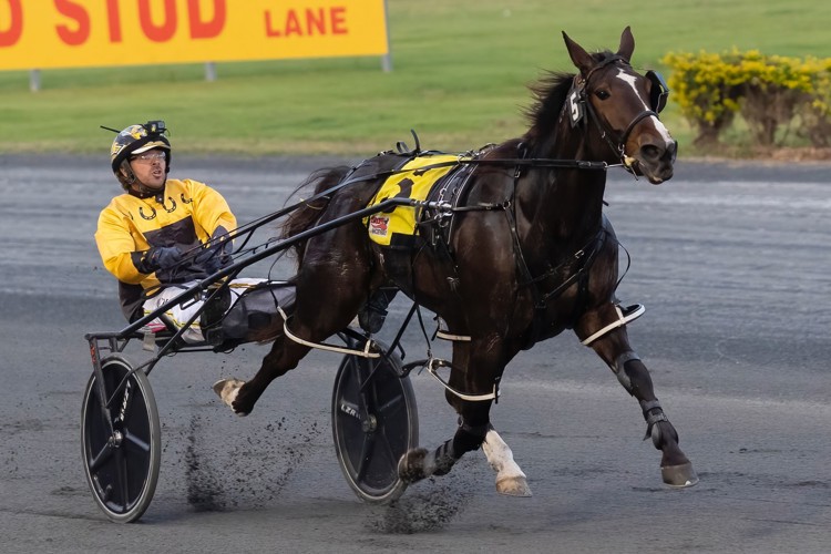 9WoiEs8s.jpeg 9WoiEs8s.jpeg