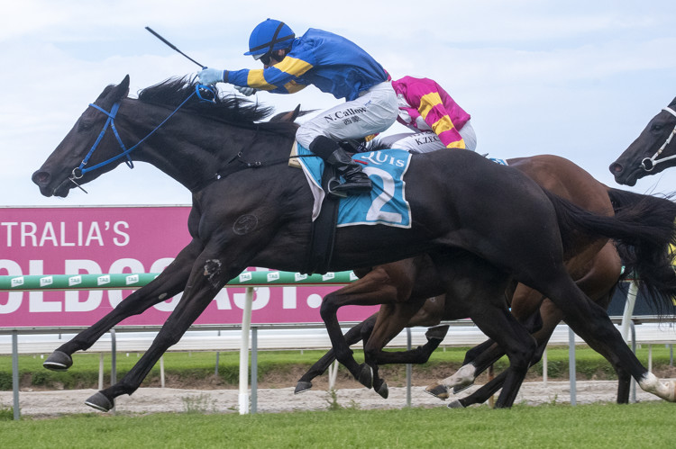 R1-Brailler-Garry-Baker-Noel-Callow-2.jpg R1-Brailler-Garry-Baker-Noel-Callow-2.jpg