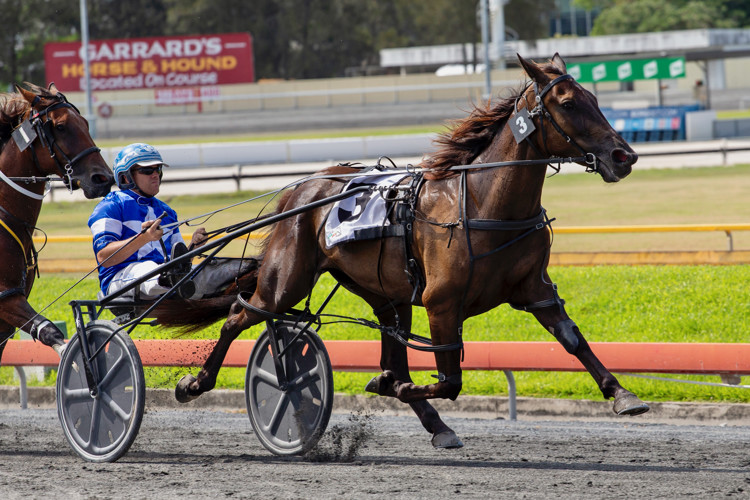 T2DX7309.jpeg T2DX7309.jpeg