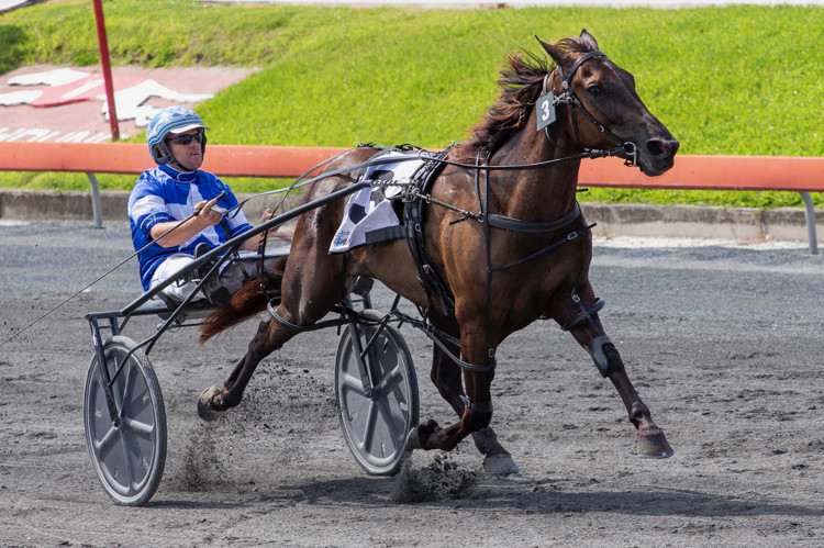 T2DX7333.jpeg T2DX7333.jpeg