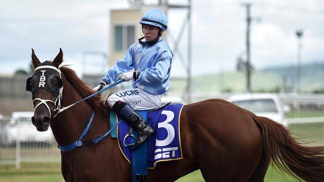 IMG-8004.JPG IMG-8004.JPG