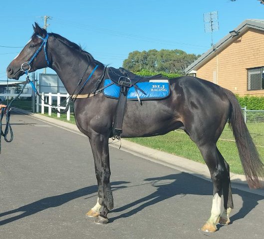 image000000.JPG image000000.JPG