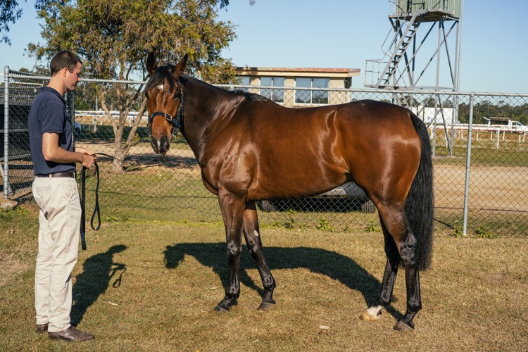 jhFqVYng.jpeg jhFqVYng.jpeg