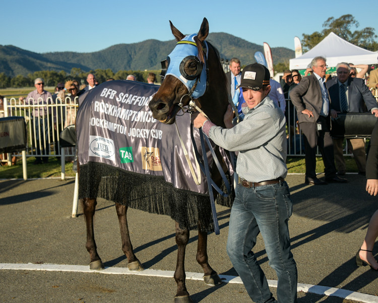 DSC-5045-1.jpg DSC-5045-1.jpg