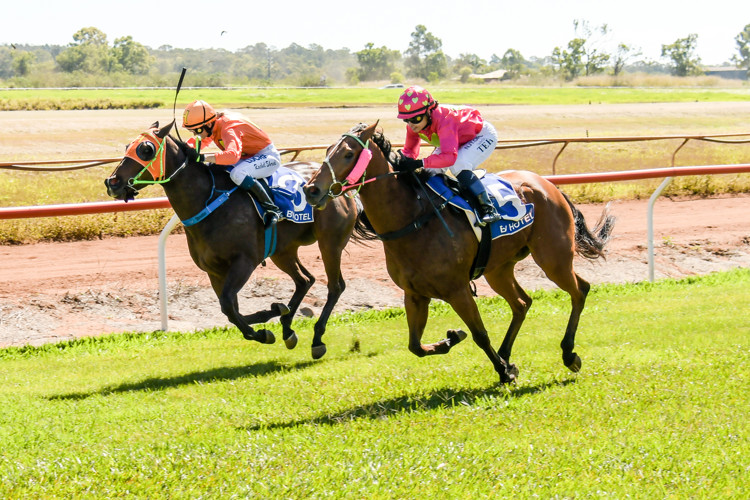 500-2684.jpg 500-2684.jpg