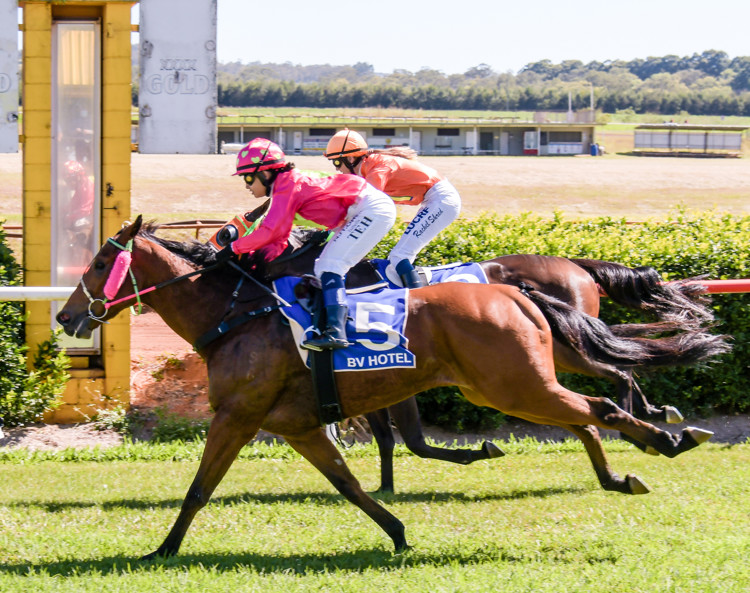 500-2691.jpg 500-2691.jpg