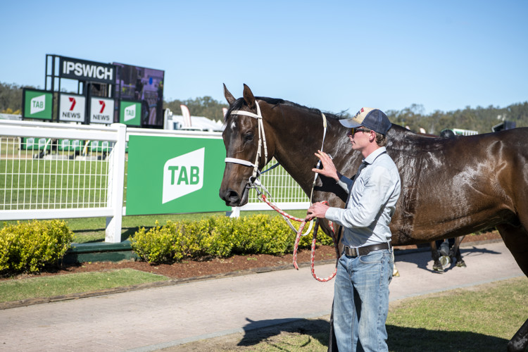 D85-8964.jpg D85-8964.jpg