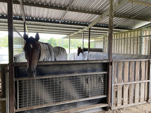 IMG-7652.jpg IMG-7652.jpg