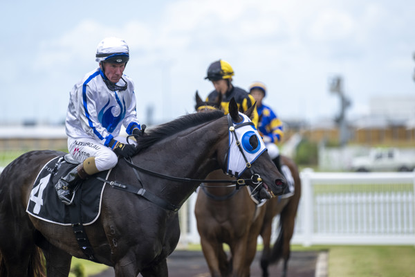 DSC-0734.JPG DSC-0734.JPG