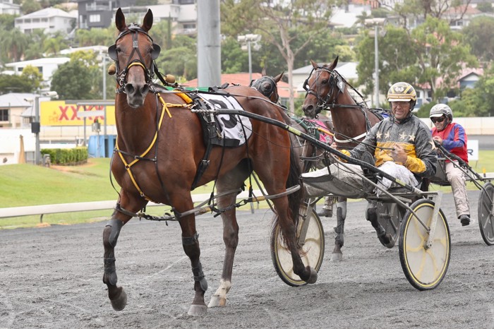 A53I3613.jpg A53I3613.jpg