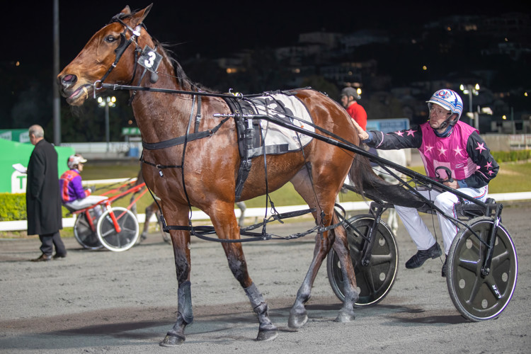 A53I8994-DeNoiseAI-2.jpeg A53I8994-DeNoiseAI-2.jpeg