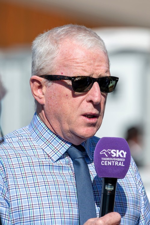 RIim4P-c.jpeg RIim4P-c.jpeg