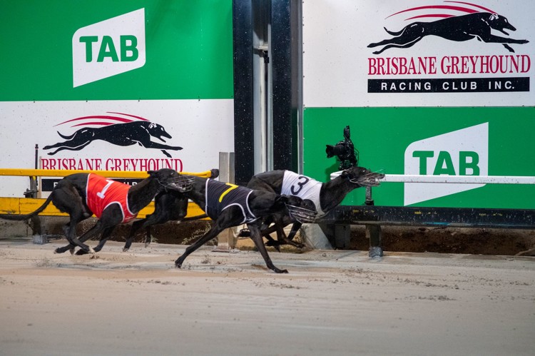 Oi-gj-WY.jpeg Oi-gj-WY.jpeg