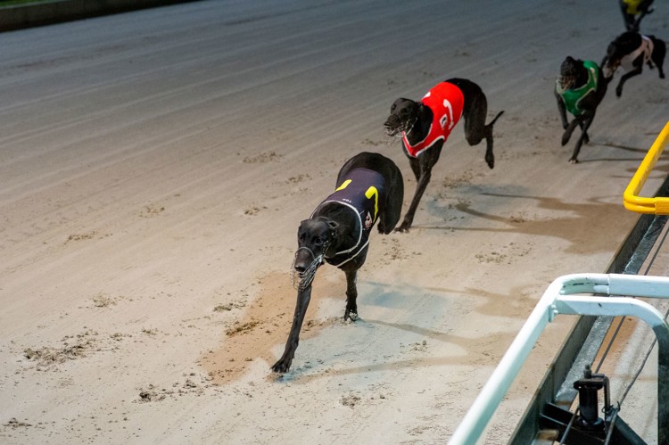 R36M894k.jpeg R36M894k.jpeg