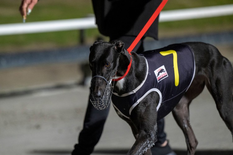 eFh67OTQ.jpeg eFh67OTQ.jpeg