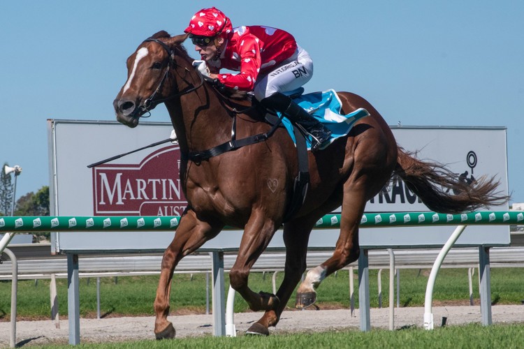 WT675IdU.jpeg WT675IdU.jpeg