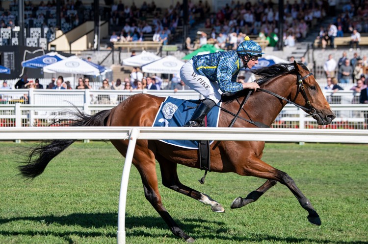 gzHGTXTI.jpeg gzHGTXTI.jpeg