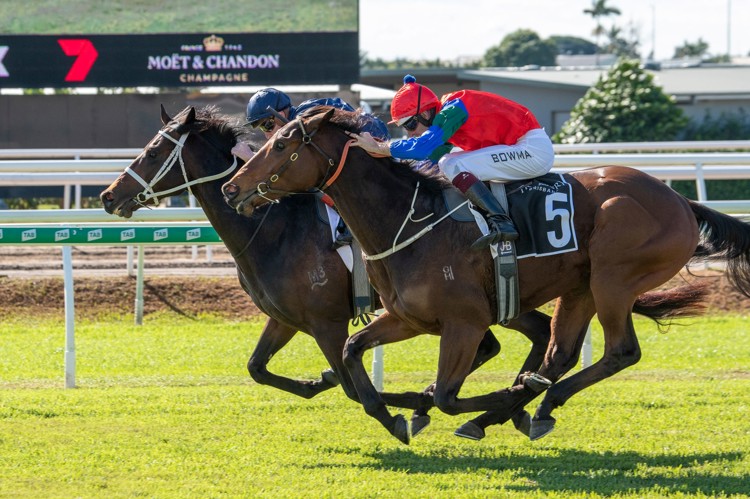 0gi-FRcM.jpeg 0gi-FRcM.jpeg