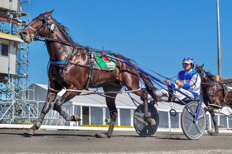 g2ljAEpc.jpeg g2ljAEpc.jpeg