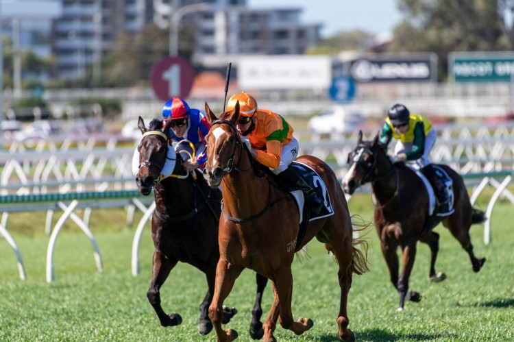 ULK7ySP4.jpeg ULK7ySP4.jpeg