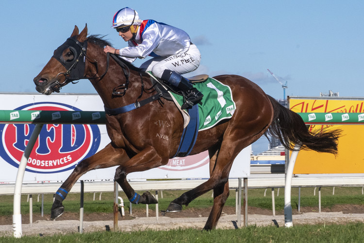 R6-Phantom-Falcon-Kacy-Fogden-Wendy-Peel-3.jpg R6-Phantom-Falcon-Kacy-Fogden-Wendy-Peel-3.jpg