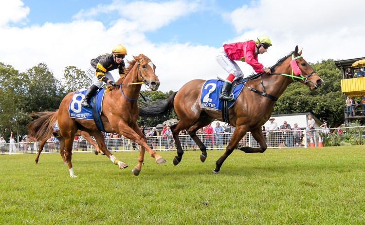 500-6885.jpg 500-6885.jpg