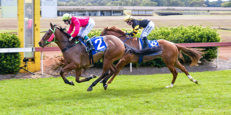 501-9682.jpg 501-9682.jpg