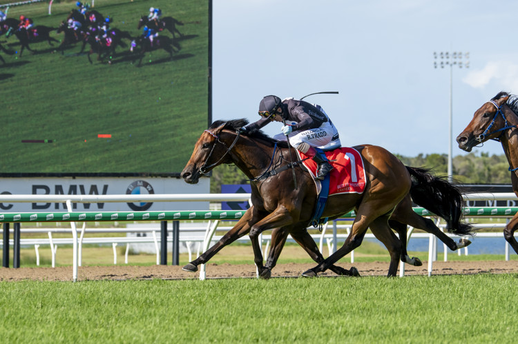 DSD-8358.JPG DSD-8358.JPG