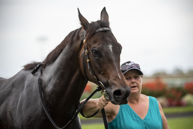 DSC-3325.jpg DSC-3325.jpg