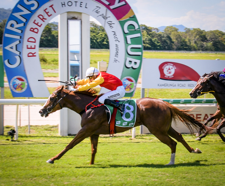 500-3184.jpg 500-3184.jpg