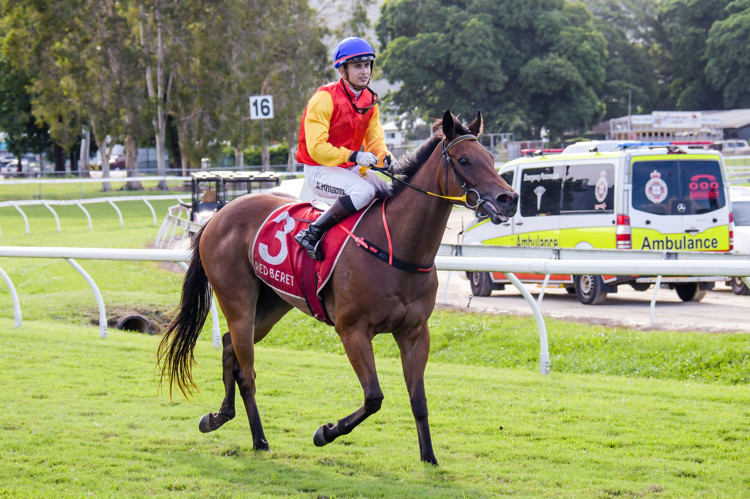 500-5640.jpg 500-5640.jpg