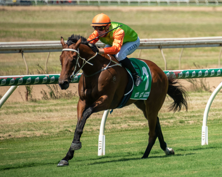 R11022022-1pre-copy.jpg R11022022-1pre-copy.jpg