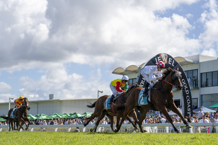 DS5-7512.JPG DS5-7512.JPG