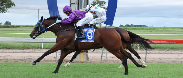 1A4A1141.jpg 1A4A1141.jpg