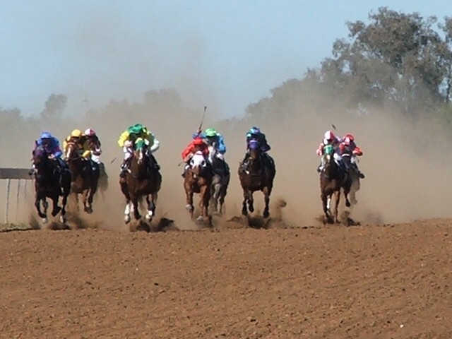 St-George-Jockey-Club-05-website.jpg