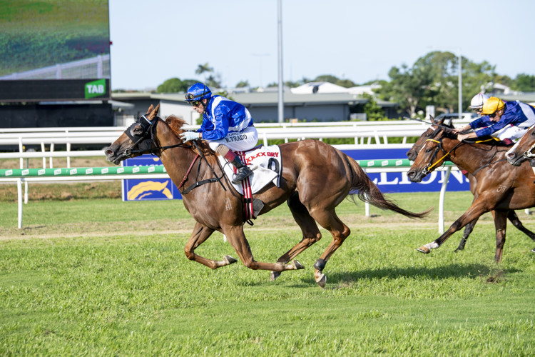 DS1-3087.JPG DS1-3087.JPG