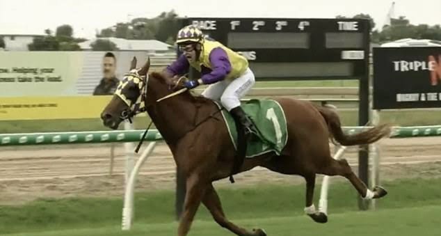 IMG-8297.jpg IMG-8297.jpg