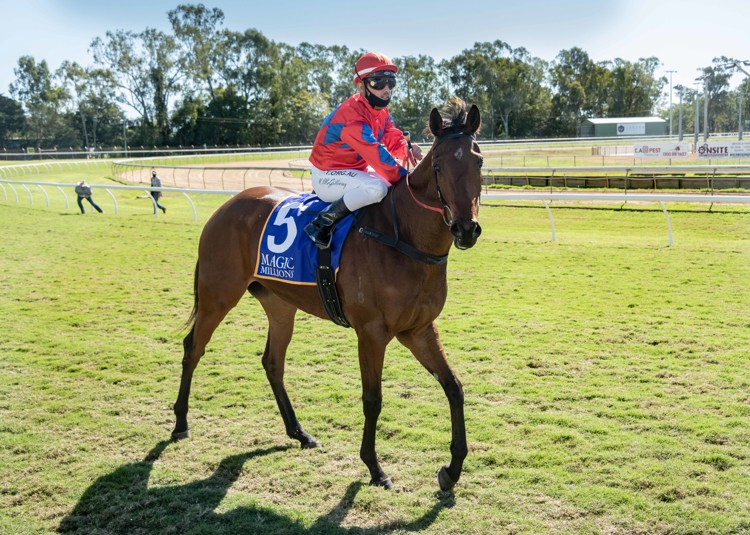 R10072021-2rc-copy.jpg R10072021-2rc-copy.jpg