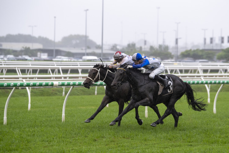 D5A-0011.JPG D5A-0011.JPG