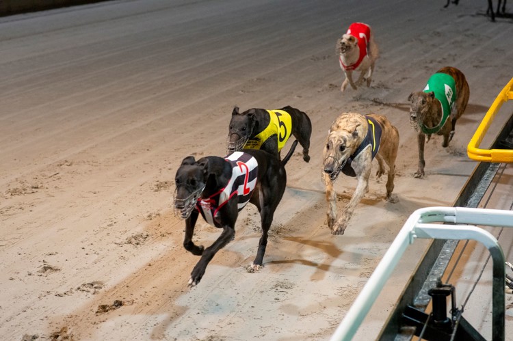 X2LHPeqE.jpeg X2LHPeqE.jpeg